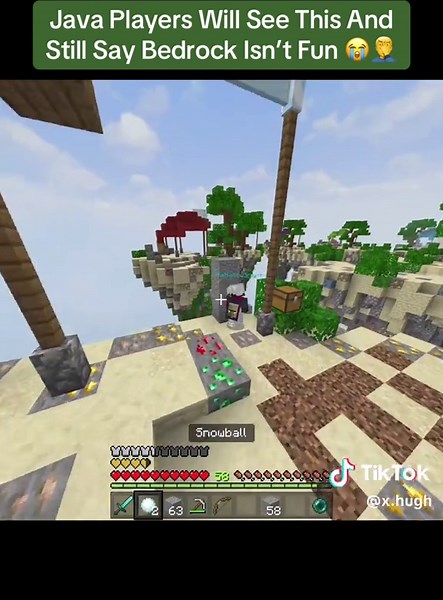 Exploring the Clarity of Peakrock in Minecraft Skywars