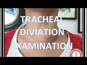 Tracheal Deviation Examination