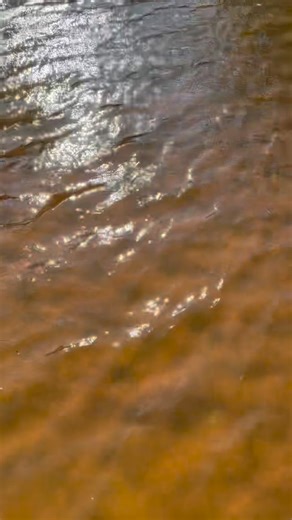 Towee Boats on Instagram: "Long time Towee guy and former Calusa Pro owner Sean finding out that the Sherpa really is everything you’ve always loved about a Towee - only more. Where will your Towee take you? #toweeboats #crossoverskiff #polingskiff #technicalskiff #tillerskiff"
