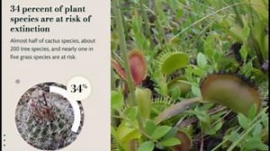 How can we create a better future for species and ecosystems?🌱 Explore NatureServe's interactive Biodiversity in Focus story map to learn how we can help protect the US's most imperiled species and ecosystems. http://esri.social/HVjx50Pmgm5 #WorldNatureConservationDay | Esri