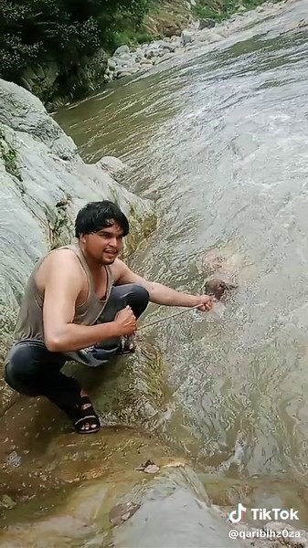 Bathing a Goat: Tips for Care in Outdoor Settings