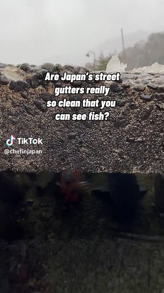 Exploring the Unique Canals of Japan: A Closer Look at Shirakawago