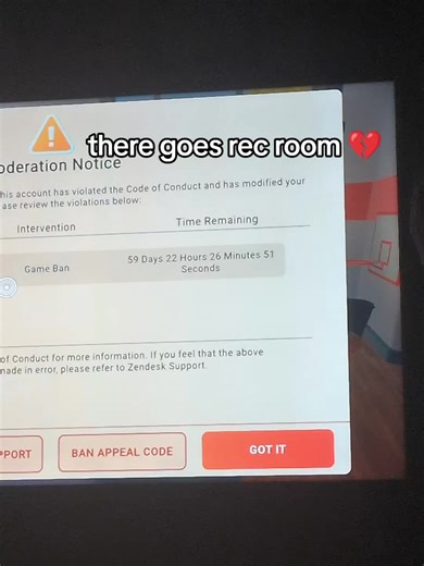 Understanding Game Bans in Rec Room