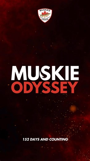 5.3K views · 46 reactions | The countdown is officially on — just 152...