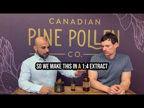 Certified organic Chaga Tincture: wild dual extracted 250mg/ml