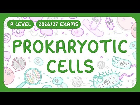 A-Level Biology - Prokaryotic Cells - Structure & Function (2026/27 exams)