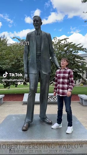 Tallest Man in the World: Height Comparison Insights