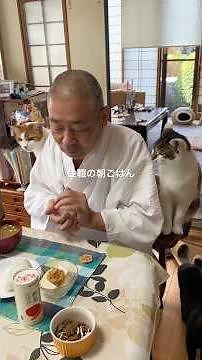 #住職の朝ごはん おにぎり 胡瓜の辛子漬け 冷奴 味噌汁 野菜ジュース #那須の長楽寺 #猫のいる暮らし #猫