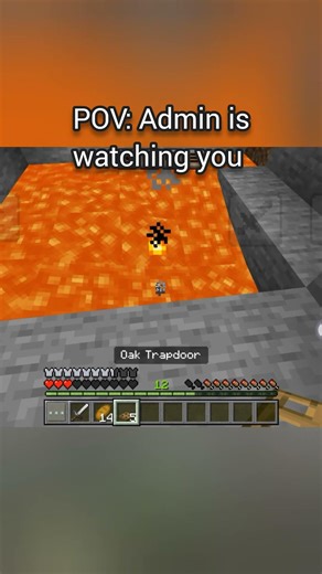 POV: server admin is watching you #minecraft