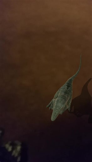 run dinosaur.