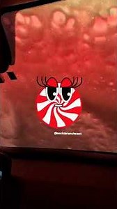 Christmas Car Wash at Buc-ees