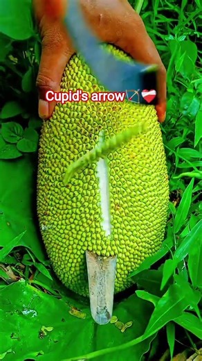 drawing an ARROW on a fruit #trending #fypシ #drawing #viral