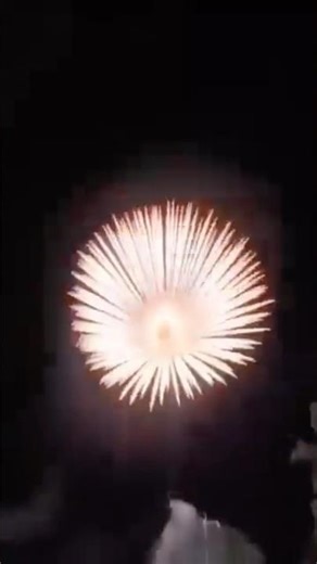 The sunflower bomb firework | cylinder display shell |