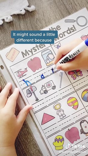 Understanding AM & AN Words in Phonics