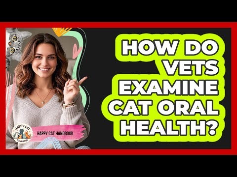 How Do Vets Examine Cat Oral Health?