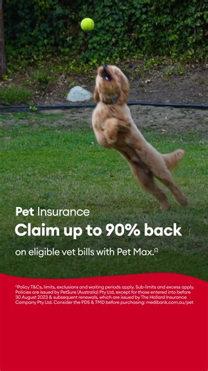 Medibank health members save 10% on Medibank Pet Insurance premiums every year.# Help protect their pet-ential with up to 90% back on eligible vet bills with Pet Max.Ω # Eligible Medibank and ahm health members who wish to activate this discount must provide accurate membership details: (a) at point of purchase for the discount to apply; or (b) prior to renewal for the discount to apply at renewal Ω Policy T&Cs, limits, exclusions and waiting periods apply. Sub-limits and excess apply. Policies 