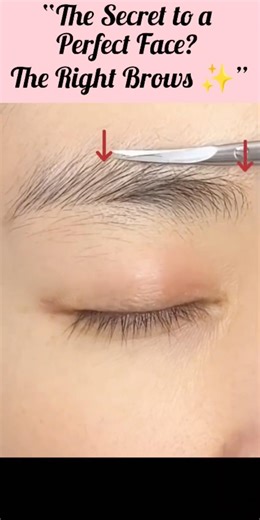 How to Shape Eyebrows at Home | Easy Brow Trimming & Tweezing Tutorial for Beginners