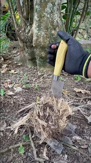 “Survival Trick: Light a Fire Using Dry Sticks and Leaves 🌿🔥”