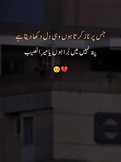 Exploring Poetry Through Creator Search Insights