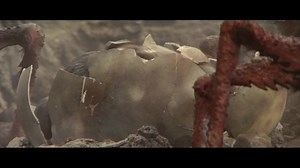 GODZILLA.OFFICIAL on Instagram: "Sorry to break it to you. This is where babies actually come from. 🥚 🎞️: Son of Godzilla 1967"