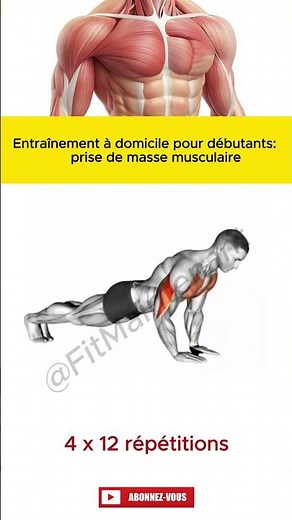 Entraînement à domicile pour débutants: prise de masse musculaire 🔥💪 #fitness à la maison