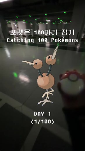 Catching 100 Pokémon – Day 1 Adventure