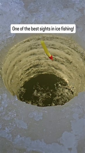 Tut on Instagram: "Who doesn't love a bobber bite? #fishing #outdoors #fishingaddict #fishinglife"