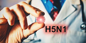 H5N1 bird flu, or avian influenza, in Florida: What to know »  Emerging Pathogens Institute » University of Florida