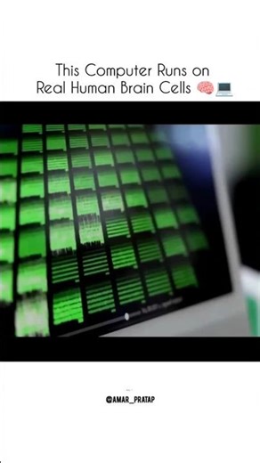 World’s First Biological Computer Using Human Brain Cells 😳🧠 #techshorts #innovation