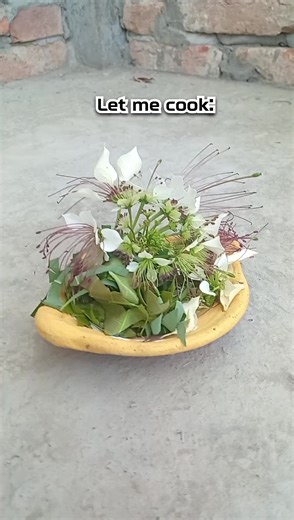 Wait... what am I cooking? 😂#foryou #cook #cooking #nick #usa