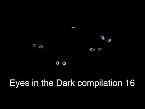 Eyes in the Dark Compilation 16