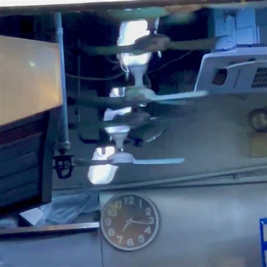 ~24"/600mm mini ceiling fans