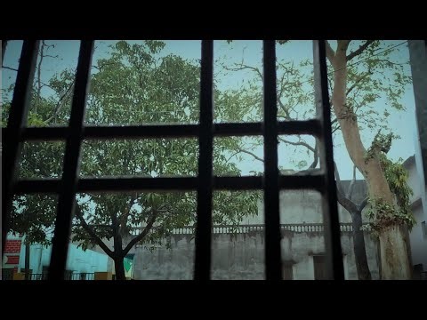 Cozy Rain Outside the Window || Heavy Rain Sounds Outside a Cozy Bedroom Window || No Music ASMR
