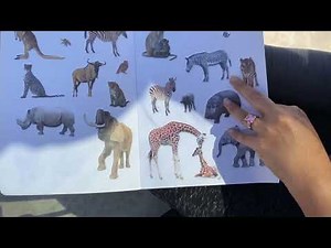 Planet Earth ultimate stickers book