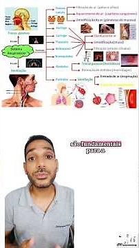 Sistema respiratório.#biologia #ciências #fisiologiahumana #sistemarespiratório #respiração #enem