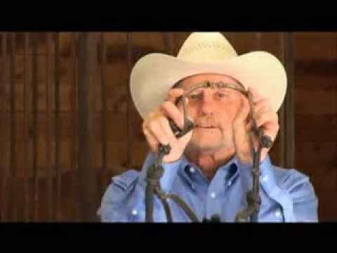 Types of Snaffle Bits