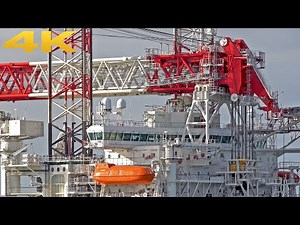🛳️ 7+ HOURS MARINE TRAFFIC ⚓️ AT THE BIGGEST PORT OF EUROPE IN ROTTERDAM - 4K SHIPSPOTTING 2024