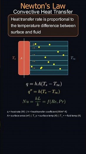 The TRUTH About Cooling! 🤯 Newton's Law & Heat Transfer EXPLAINED #scienceshorts #heattransfer #heat