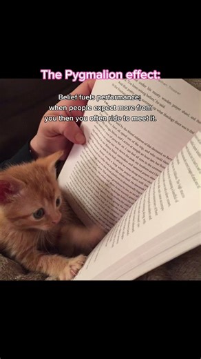Psychology facts: the Pygmalion effect #psychologyfacts #psychology #subscribe #shorts #short #fyp