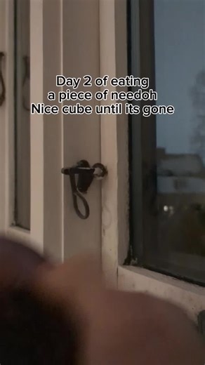 Day 2 of eating a piece of needoh Nice cube until its gone #CapCut #fidgittoys #needoh #tuff #fyp