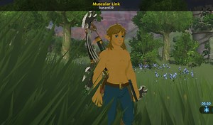 Muscular Link Mod for The Legend of Zelda: Breath of the Wild (WiiU) | BotW Mods