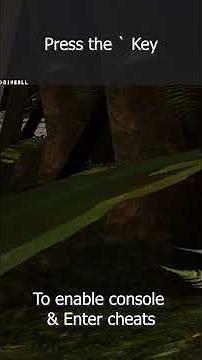 How to enable Cheats in Hitman: Codename 47