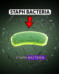 671 reactions · 91 shares | **Is Miracle Manuka ointment effective on...