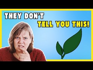 Paperless‑ngx Review - YOU MUST KNOW THIS BEFORE TRYING!