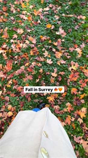 Fall might just be the best season in Surrey 🍁✨ With vibrant colour-changing trees, crunchy leaves, and crisp air that brings cozy vibes all season long, it’s the perfect time to slow down and soak in the natural beauty around us. | City of Surrey
