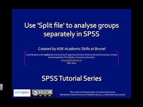 Use split file in SPSS to analyse groups separately