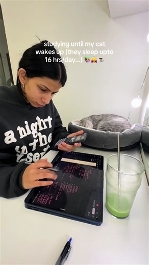 having him is like having emotional supporttt but absolutely never doing this again. he slept for 12 hours straight like WHAT HELPP #studytok #studywithme #studymotivation #studying #cattok