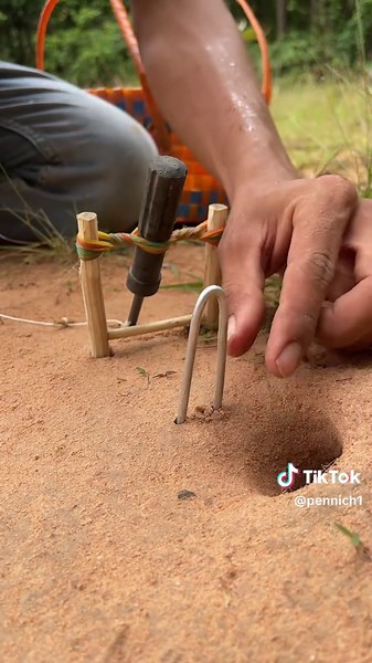 Wow! SMART idea and USEFUL with DIY Snake trap Screwdriver #bushcraft #camping #outdoors #useful #shorts#shortsvideo