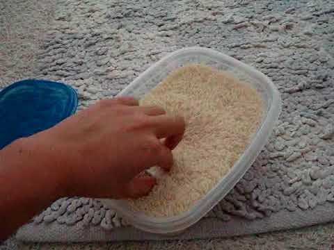 RICE MAGIC! Repair water damaged iPhone/iPod - REUPLOADED