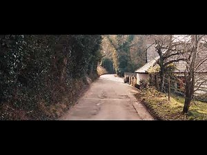 One day 1 minute nature cinematic video|ujjalpaul
